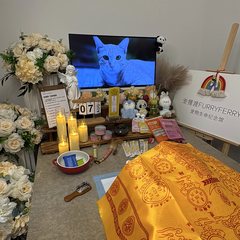 宠物家长客户见证