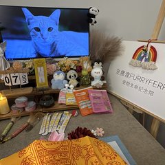 宠物家长客户见证