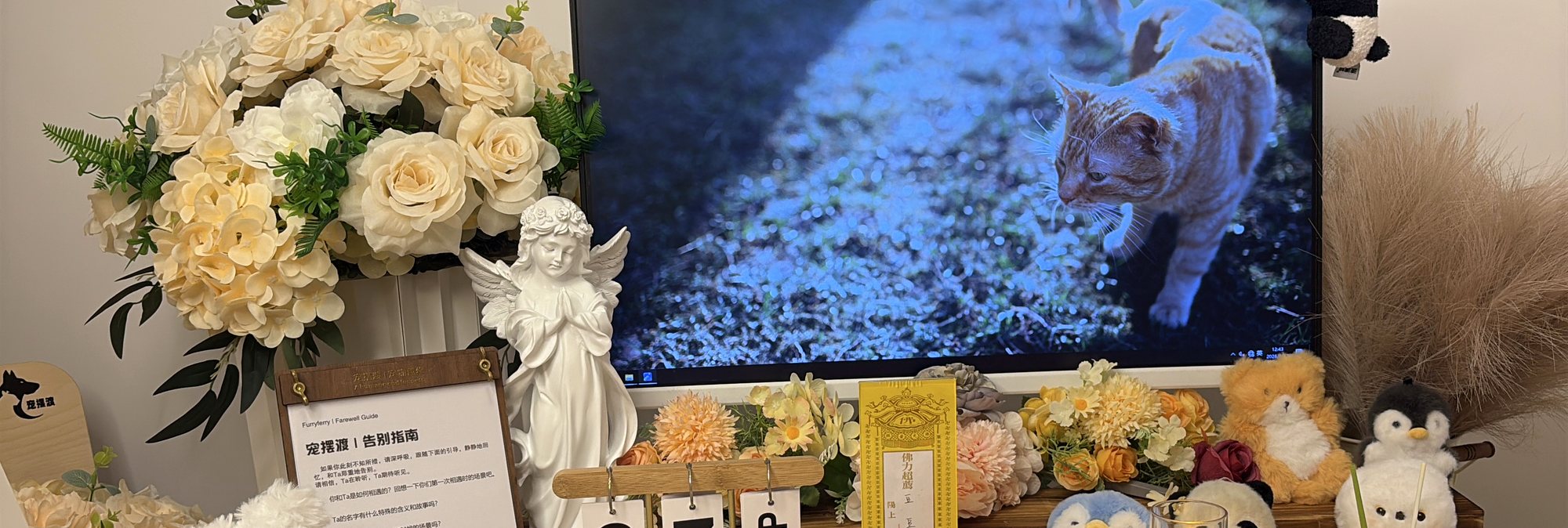 宠摆渡无锡宠物殡葬门店告别厅实景