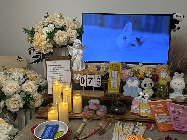 宠物爪印留念与纪念品定制